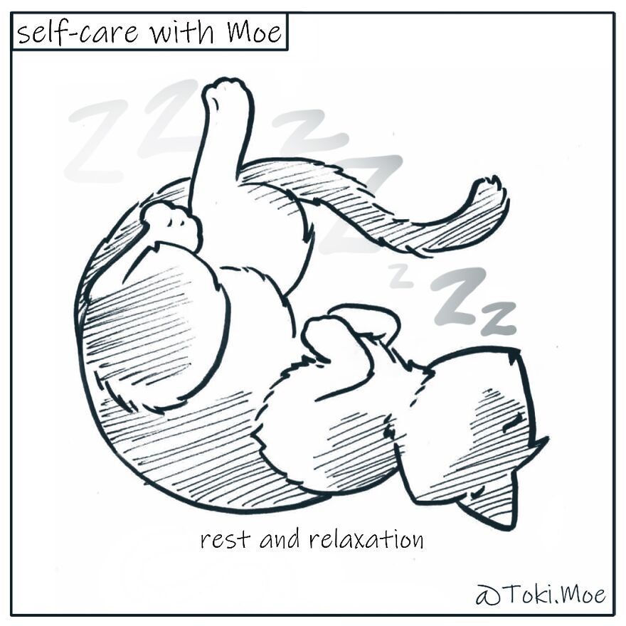 My 27 More Comics And 2 New Animations That Show What It’s Like To Live With A Cat And A Dog