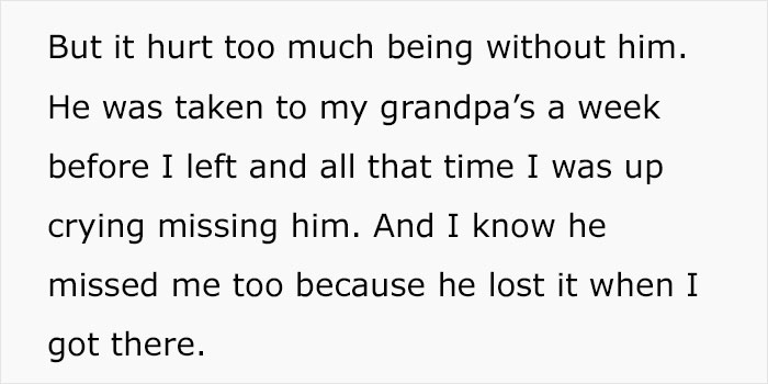 Teenager Is Forced To Choose Between His Beloved Dog And His Family, He Chooses Dax The Dog