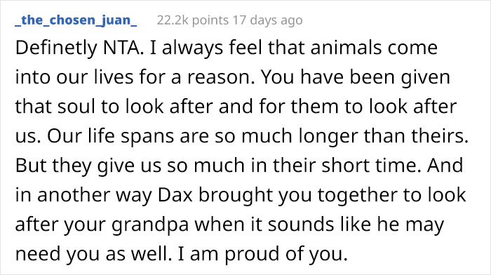Teenager Is Forced To Choose Between His Beloved Dog And His Family, He Chooses Dax The Dog