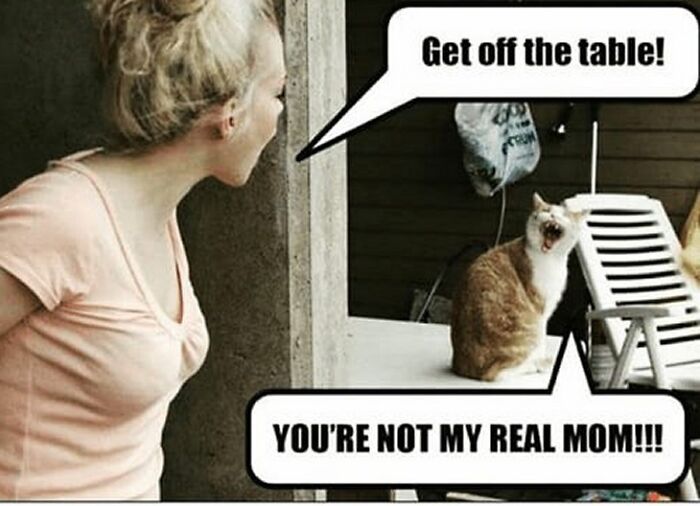 Everyone Is Cranky From Having To Lock Down...