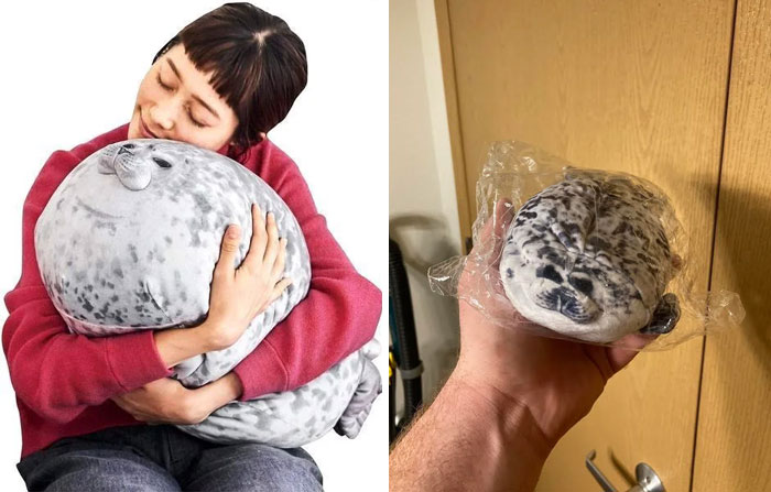 What I Ordered And What I Got