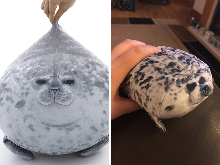 What I Ordered vs. What I Received