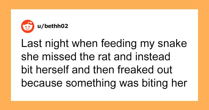 “What Is The Stupidest Thing You’ve Seen Your Pet Do?” (40 Answers)