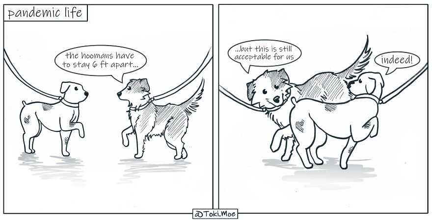 My 27 More Comics And 2 New Animations That Show What It’s Like To Live With A Cat And A Dog