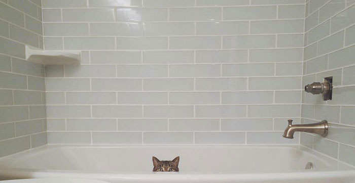 People Who Had To Choose Their Pet Over Their Partner Reveal How It All Went (35 Pics)