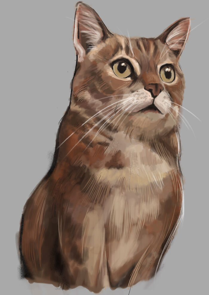 My Lovely Feebee Cat!