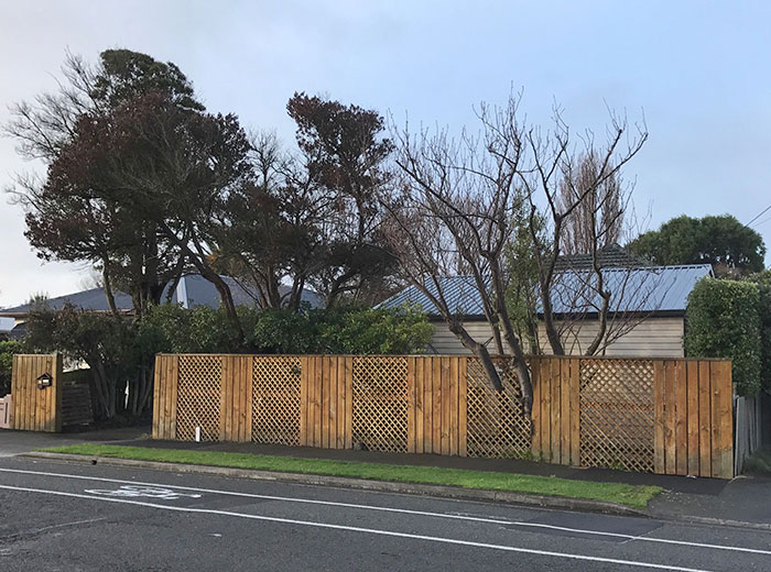 This Tree Looks Like A Graphics Glitch