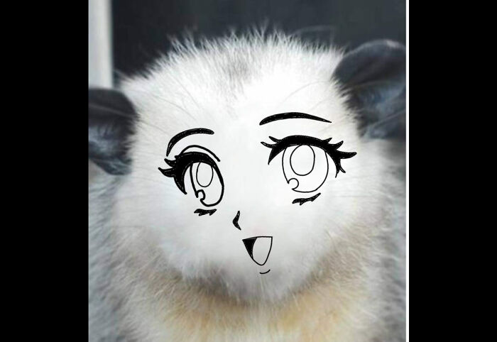 My New Anime Nightmare