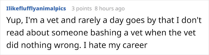 Vet Shares That There Are More Emotionally Draining Things In Their Job Than Putting Animals To Sleep