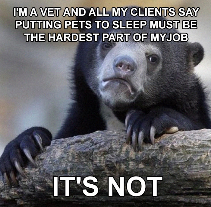 Vet Shares That There Are More Emotionally Draining Things In Their Job Than Putting Animals To Sleep