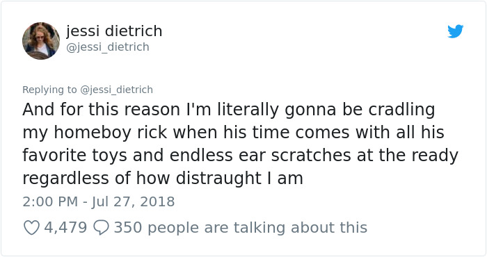 Vet Shares That There Are More Emotionally Draining Things In Their Job Than Putting Animals To Sleep Vet Shares That There Are More Emotionally Draining Things In Their Job Than Putting Animals To Sleep