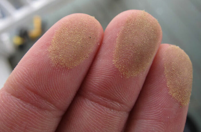 30 Chefs Reveal Restaurant "Red Flags" That Indicate You Should Eat Somewhere Else