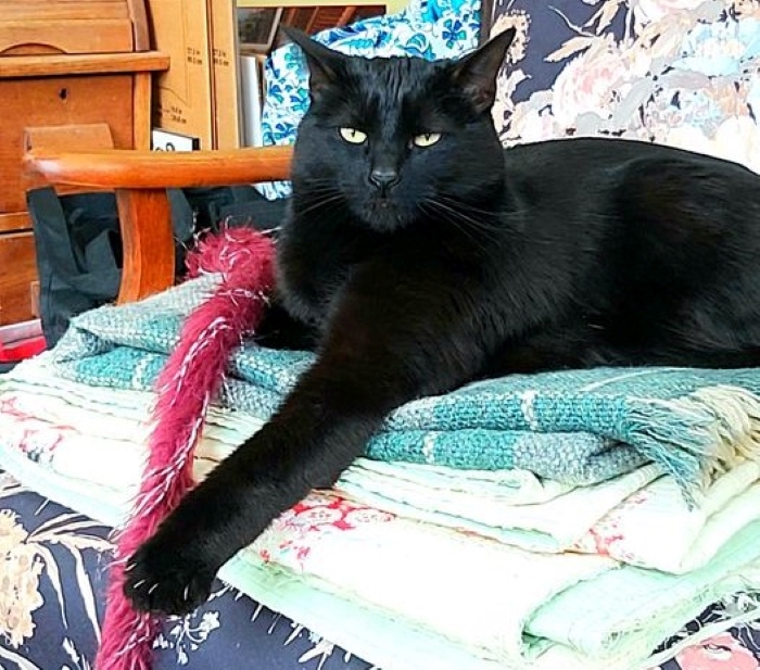 My Handsome Man, Frankie.