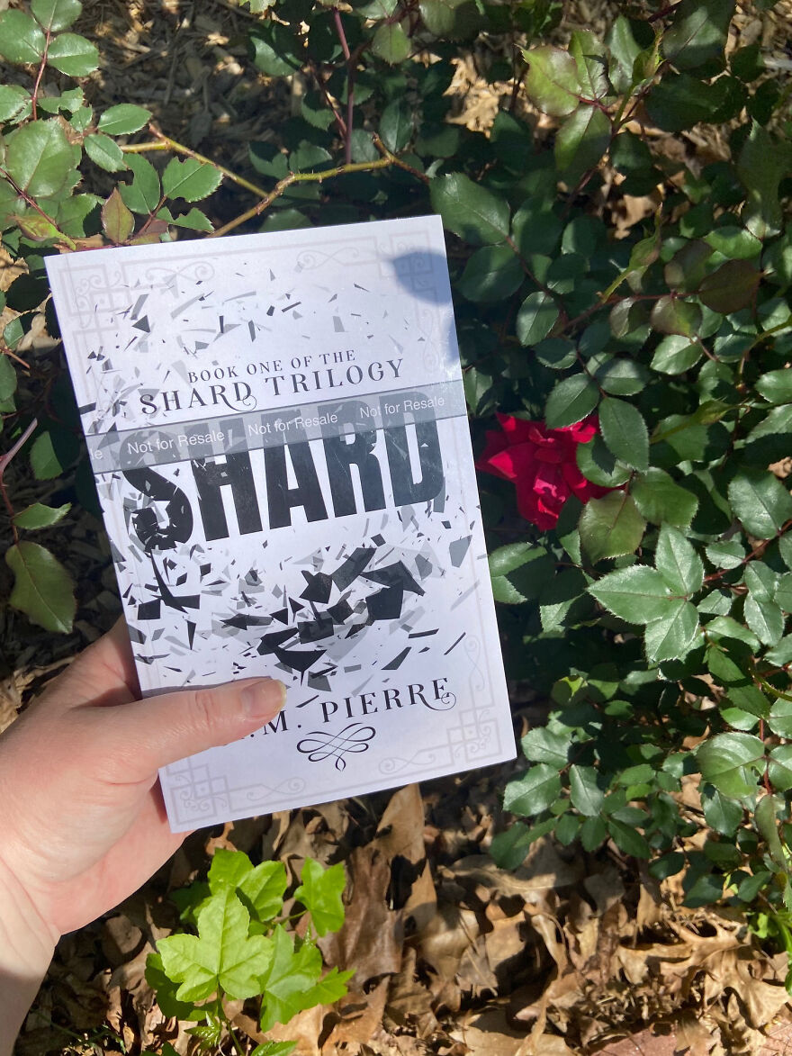 I'm Giving Away Free E-Book Copies Of My First Book To My Fellow Pandas!