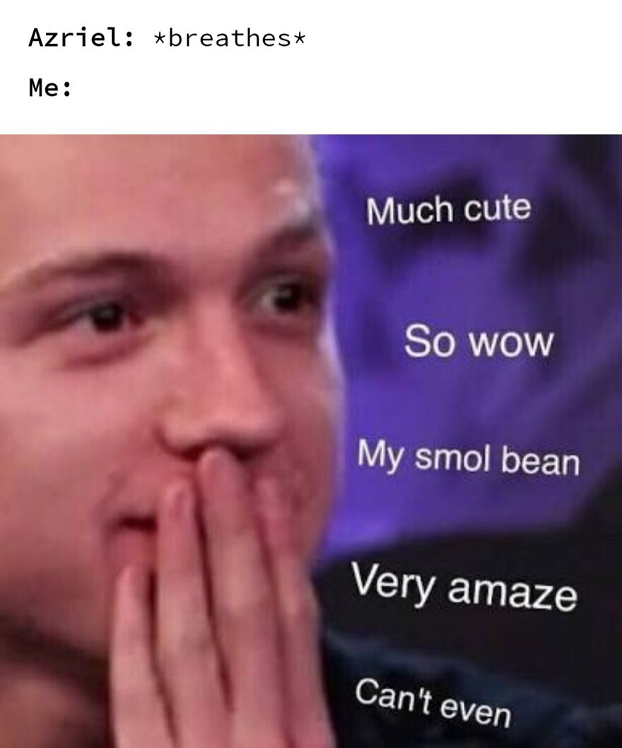 Hehhe Book Memes (Aka Acotar)