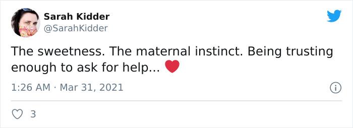 Viral Video Shows A Cat Walking Into A Hospital With Her Newborn Kitten To Get Medics To Help It Viral Video Shows A Cat Walking Into A Hospital With Her Newborn Kitten To Get Medics To Help It