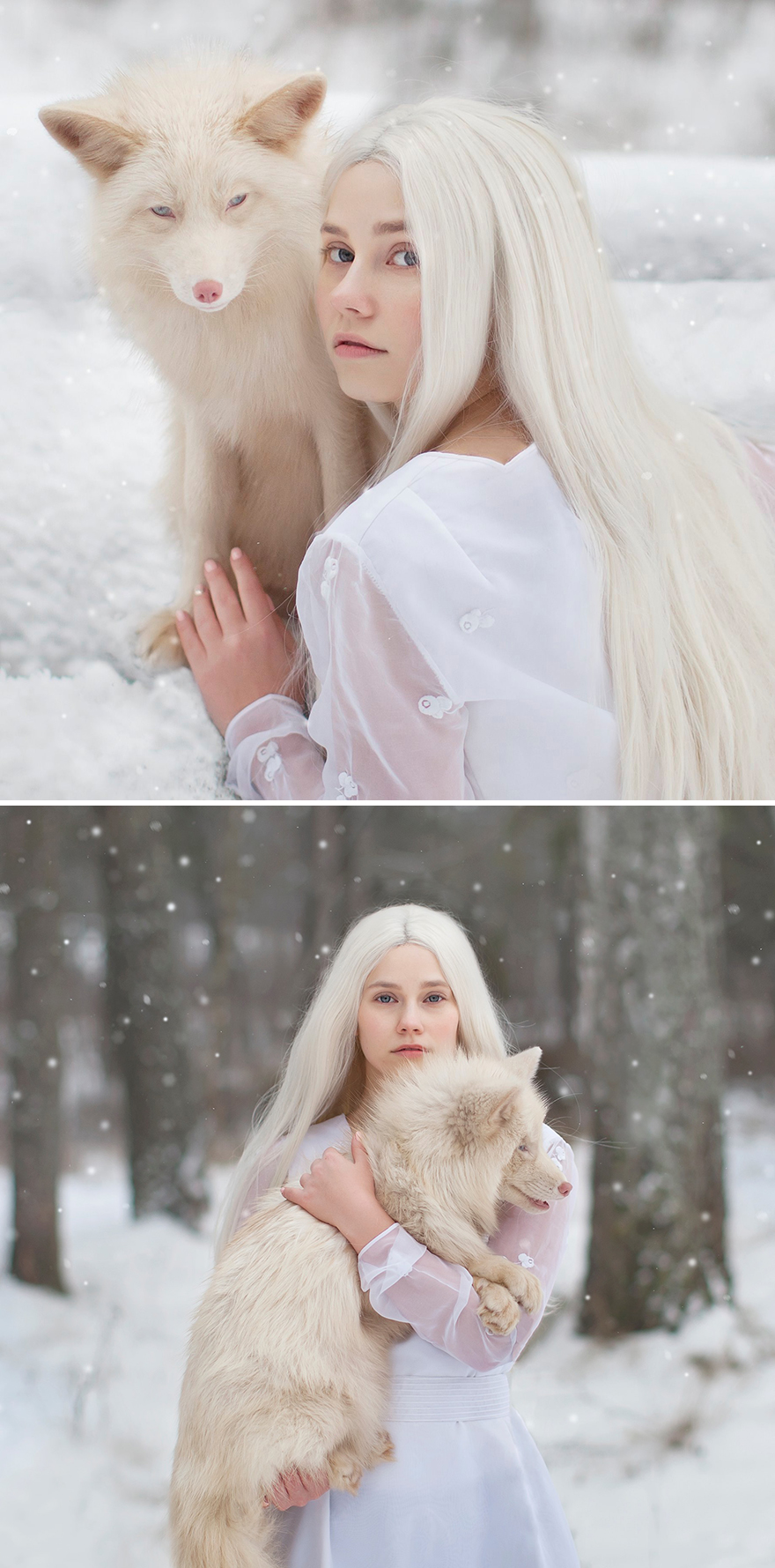 Surreal-Animal-Photography-Katerina-Plotnikova