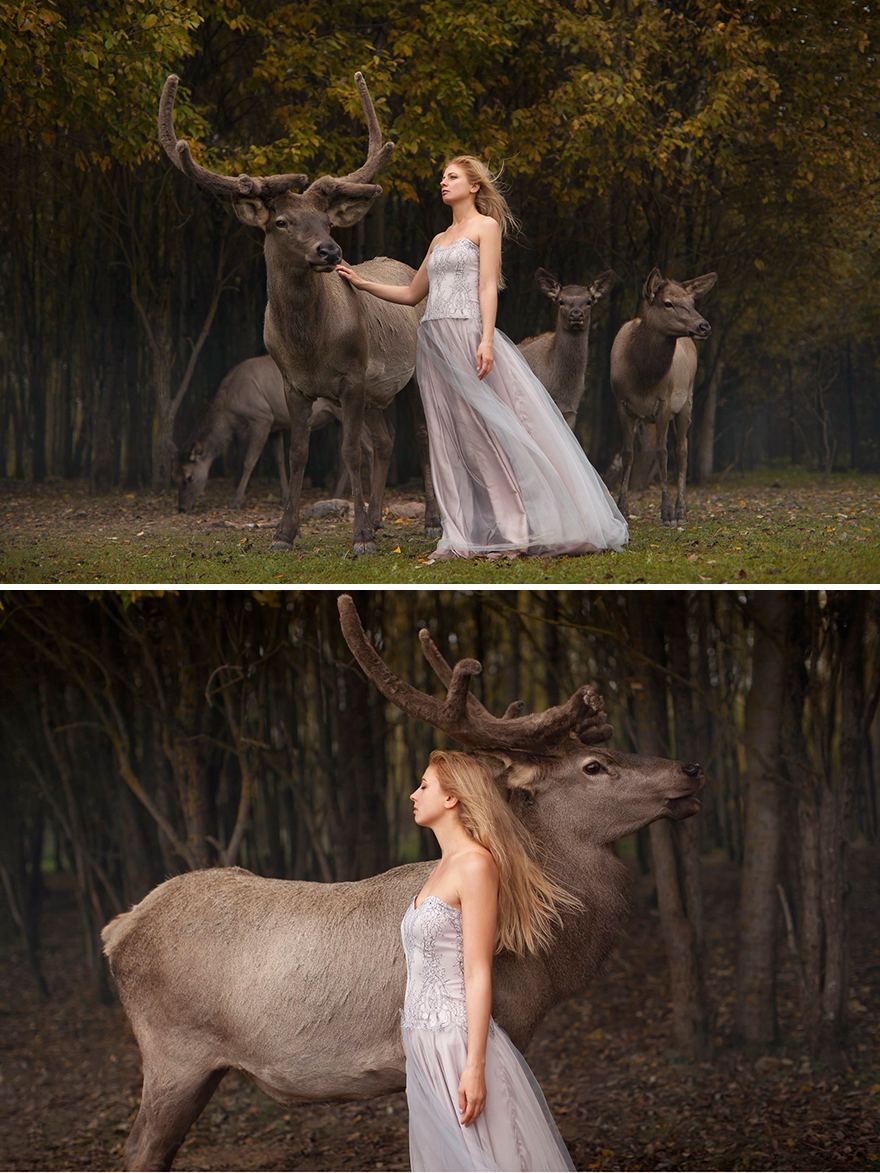 Surreal-Animal-Photography-Katerina-Plotnikova