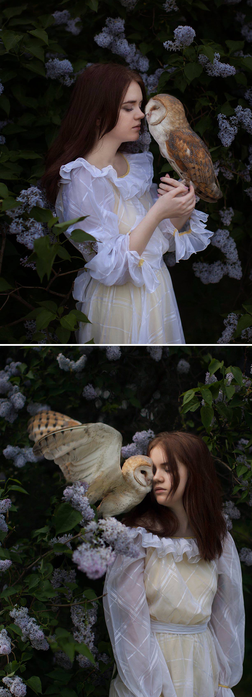 Surreal-Animal-Photography-Katerina-Plotnikova