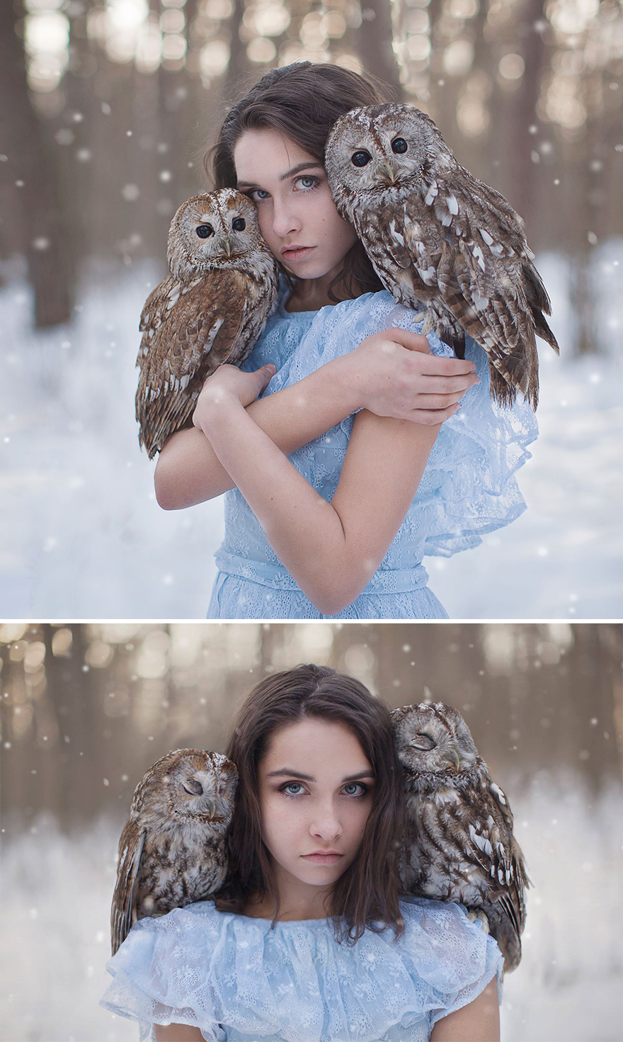 Surreal-Animal-Photography-Katerina-Plotnikova