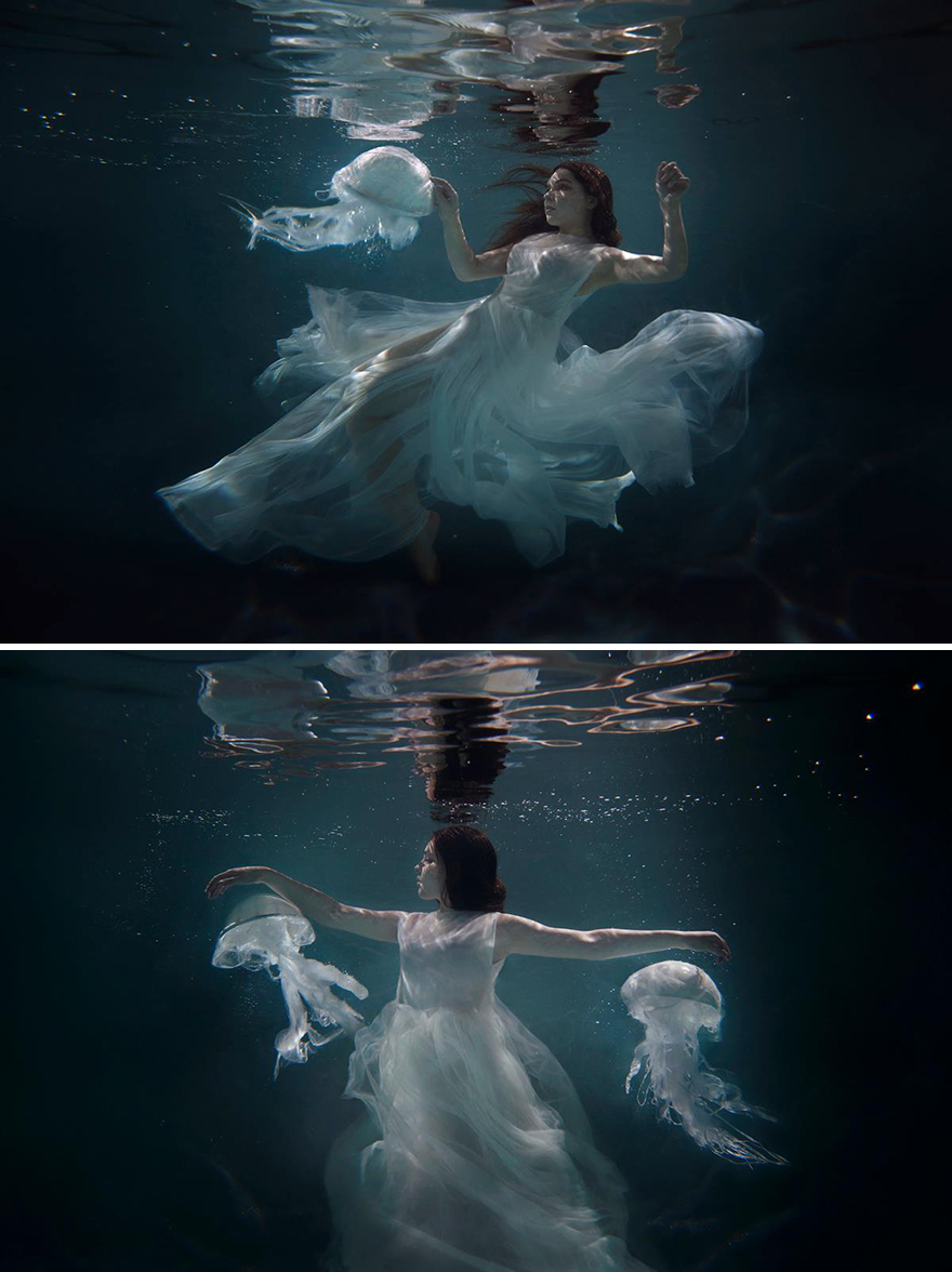 Surreal-Animal-Photography-Katerina-Plotnikova