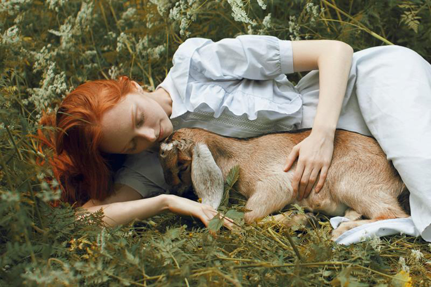 Surreal-Animal-Photography-Katerina-Plotnikova