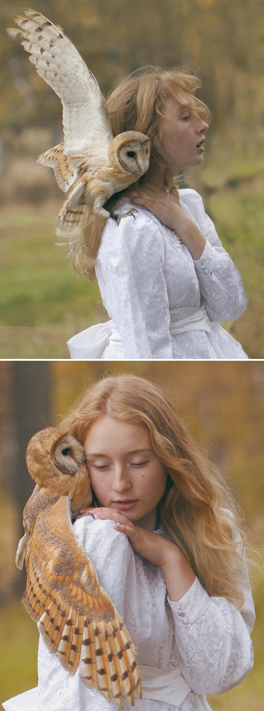 Surreal-Animal-Photography-Katerina-Plotnikova