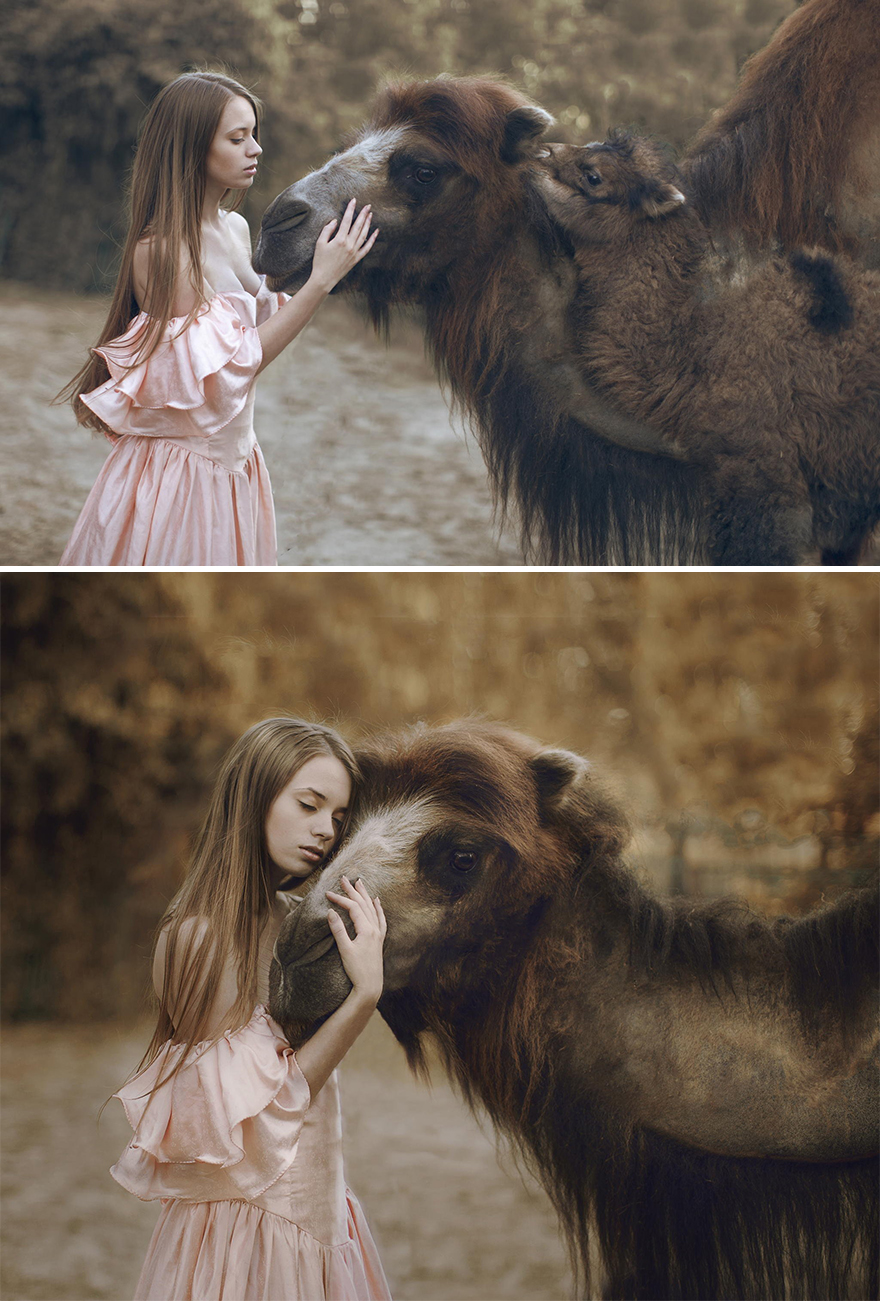Surreal-Animal-Photography-Katerina-Plotnikova