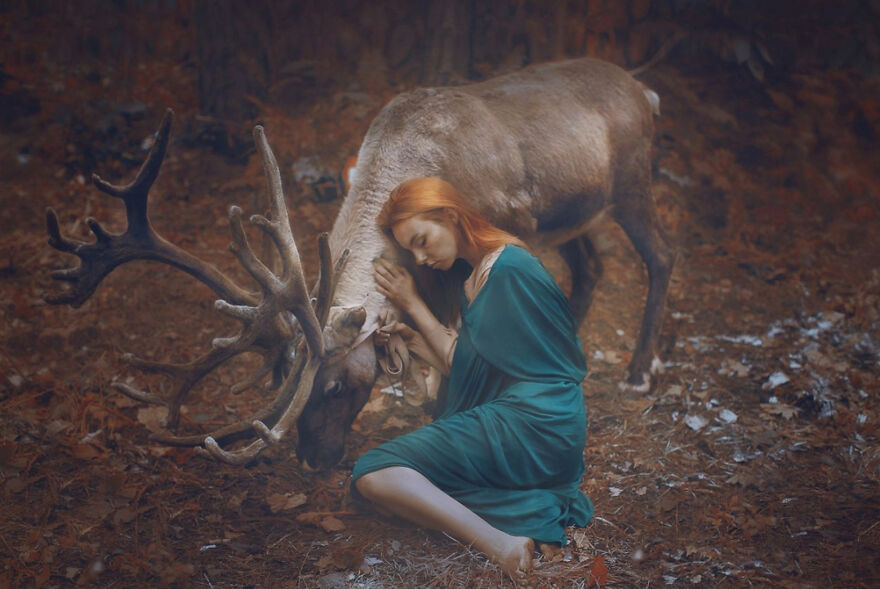 Surreal-Animal-Photography-Katerina-Plotnikova