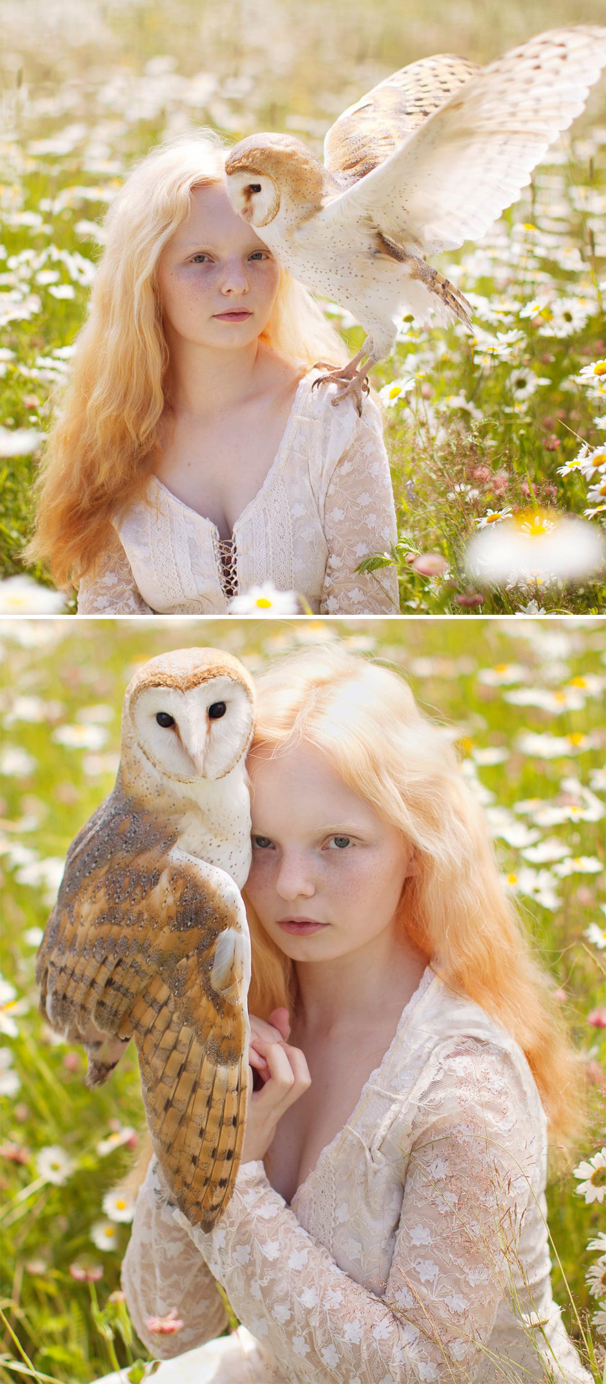 Surreal-Animal-Photography-Katerina-Plotnikova