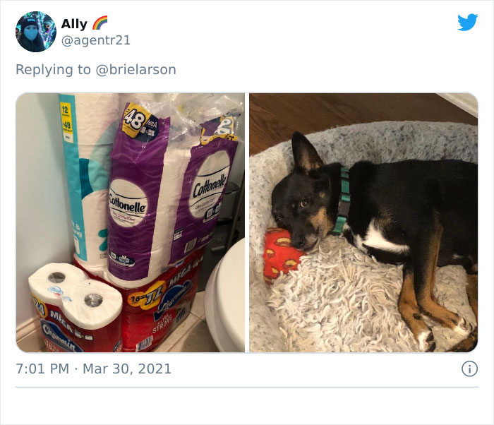 Tell-Me-Quarantine-One-Year-Telling