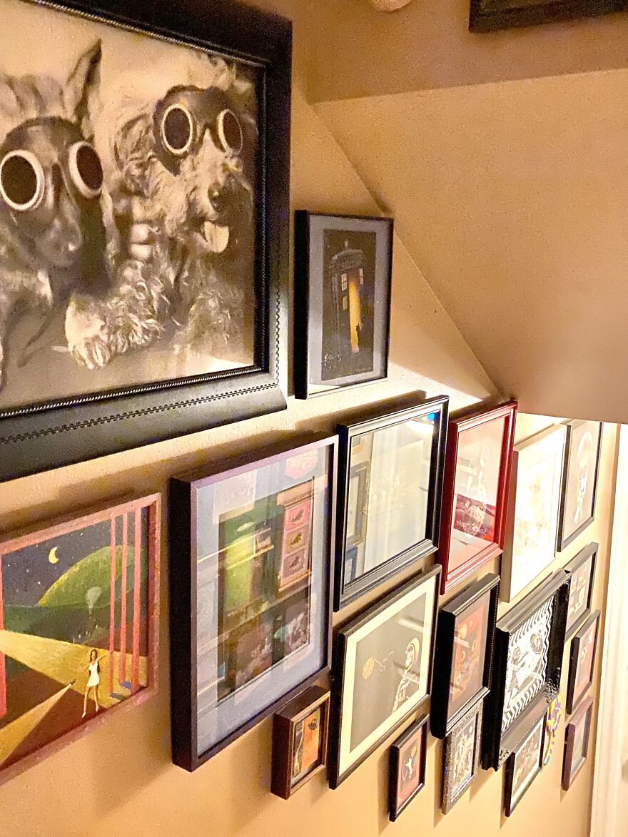 This Is A Collection (Of Cats! & More)