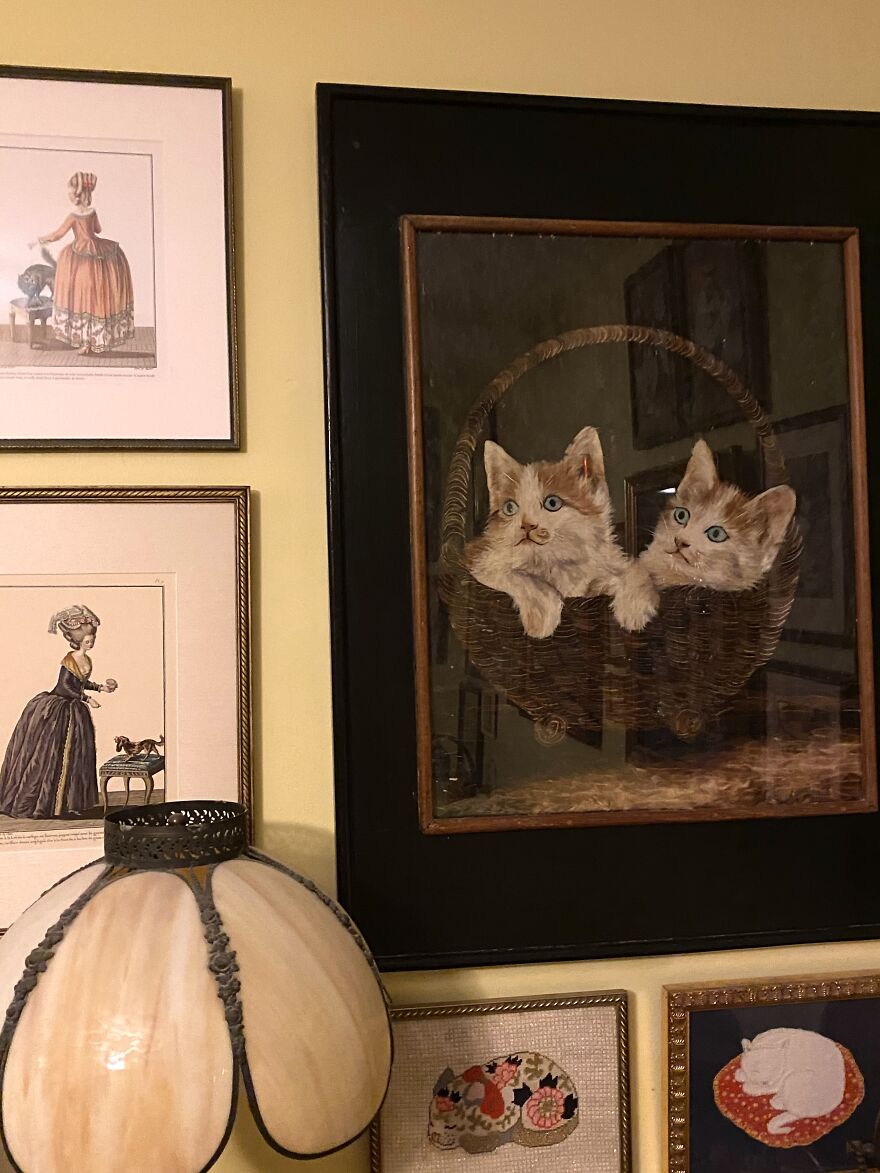 This Is A Collection (Of Cats! & More)