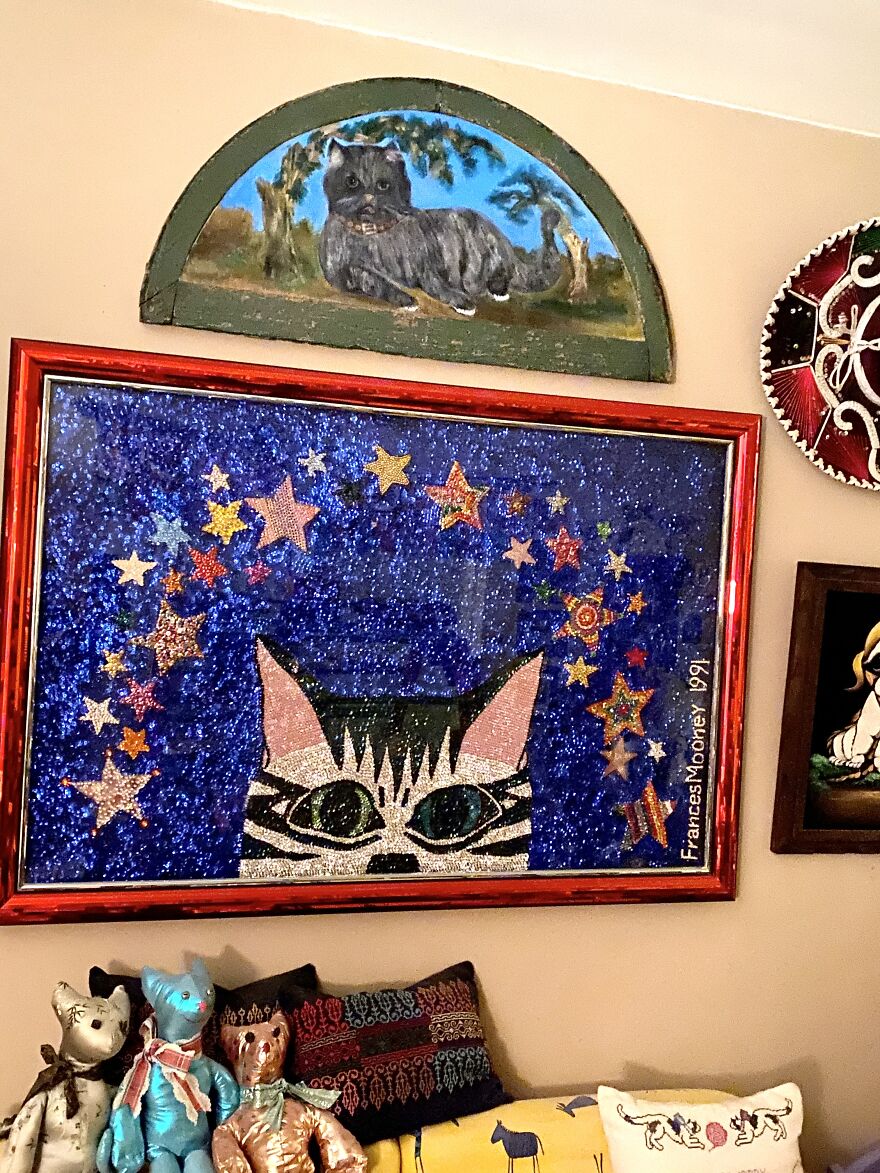 This Is A Collection (Of Cats! & More) This Is A Collection (Of Cats! & More)