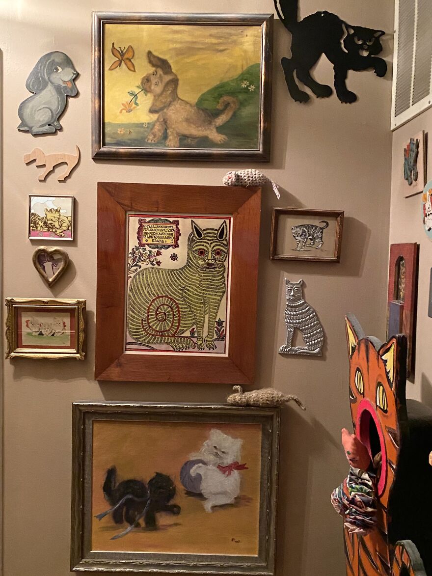 This Is A Collection (Of Cats! & More)