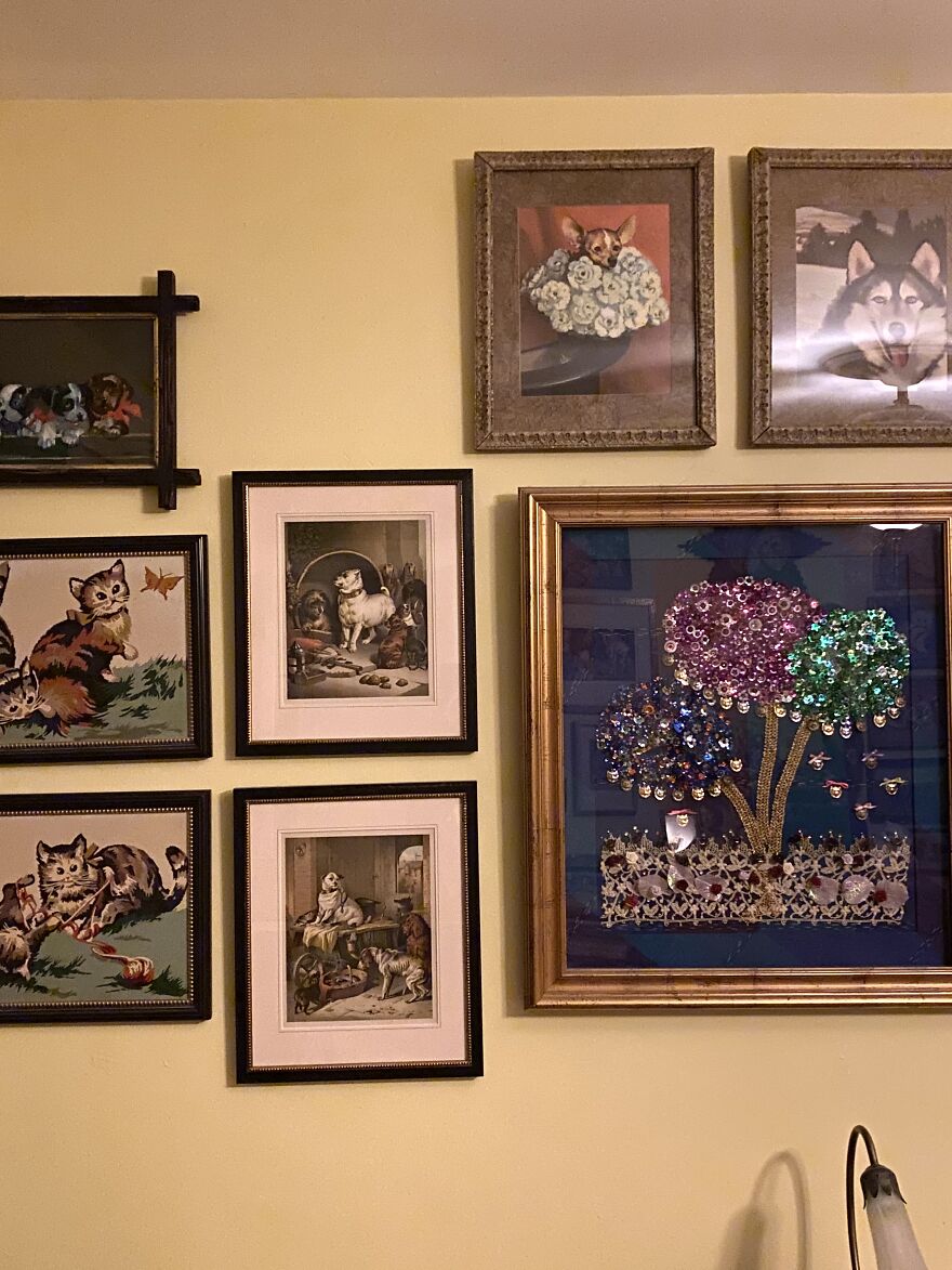 This Is A Collection (Of Cats! & More)