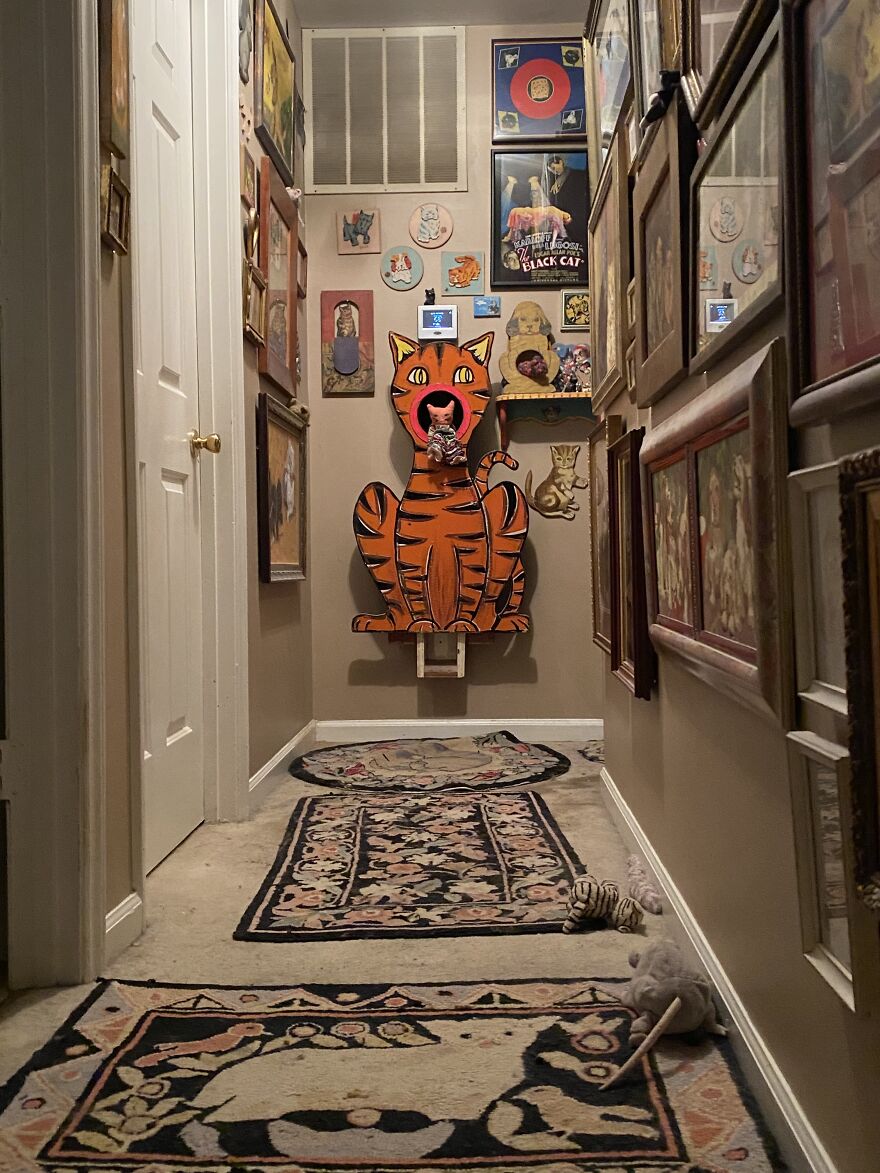 This Is A Collection (Of Cats! & More)