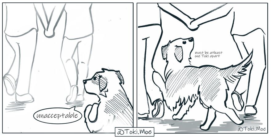 My 27 More Comics And 2 New Animations That Show What It’s Like To Live With A Cat And A Dog