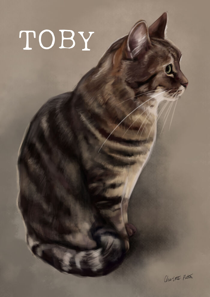 My Gorgeous Grandparents Cat Toby