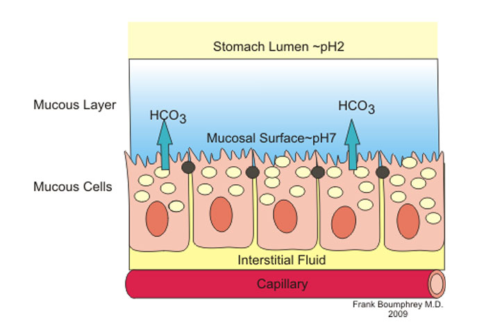 40 Interesting Things People Didn’t Learn At School And Decided To Share Them In This Online Group (New Pics)
