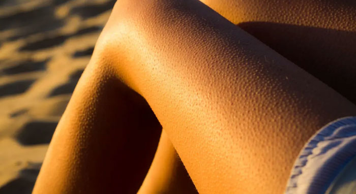 40 Interesting Things People Didn’t Learn At School And Decided To Share Them In This Online Group (New Pics)