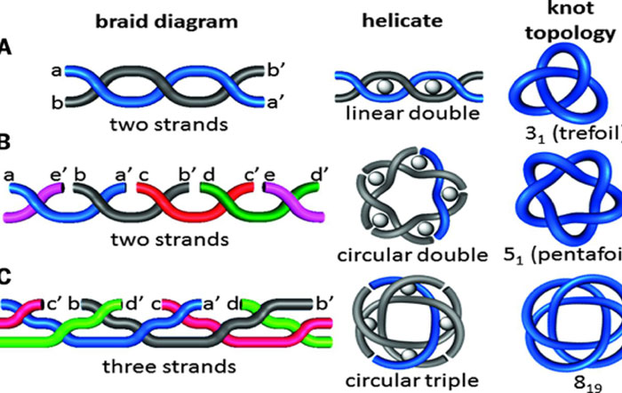 40 Interesting Things People Didn’t Learn At School And Decided To Share Them In This Online Group (New Pics)