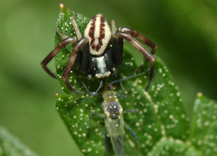 40 Interesting Things People Didn’t Learn At School And Decided To Share Them In This Online Group (New Pics)