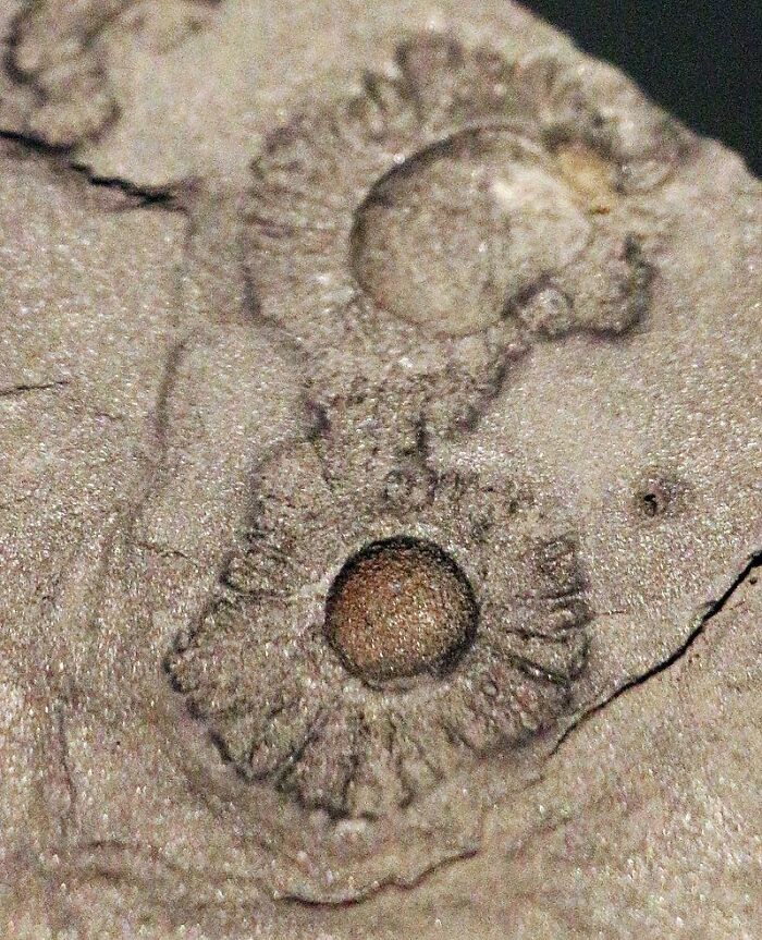 Today-I-Learned-Fact-Knowledge