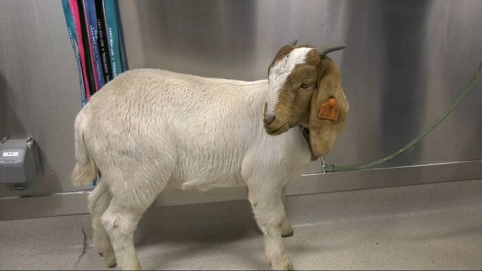 Today-I-Learned-Fact-Knowledge