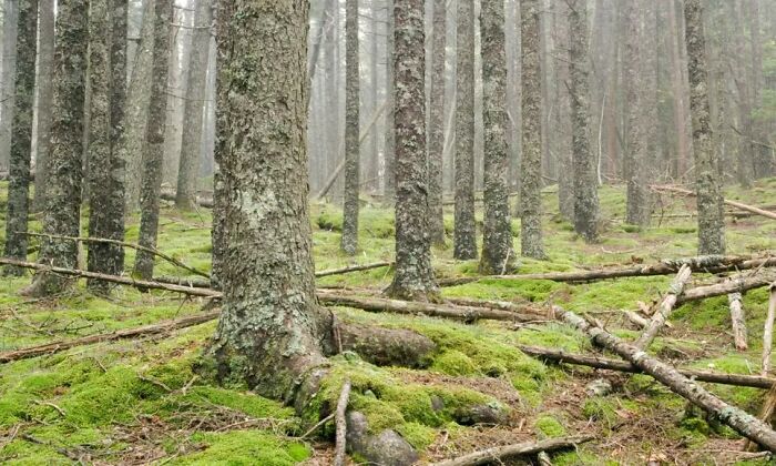 Today-I-Learned-Fact-Knowledge