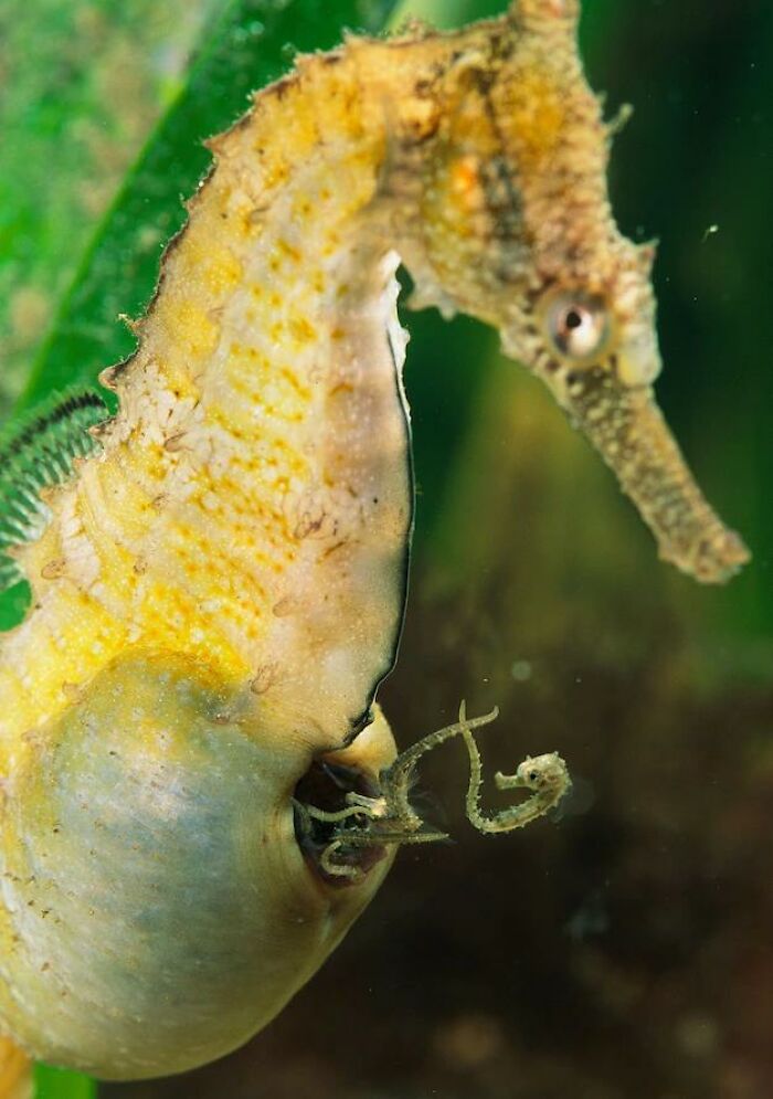 Today-I-Learned-Fact-Knowledge