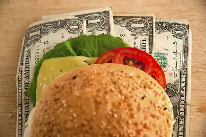 Today-I-Learned-Fact-Knowledge