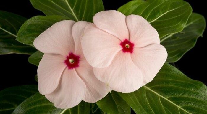 Today-I-Learned-Fact-Knowledge