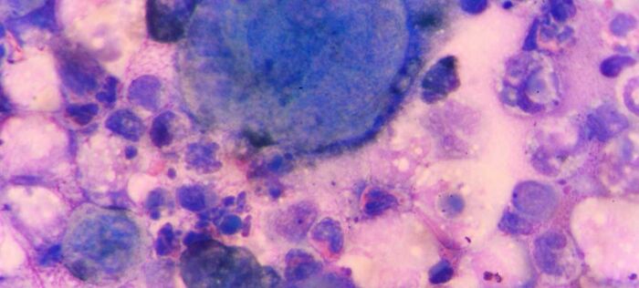 Today-I-Learned-Fact-Knowledge